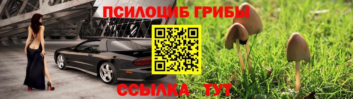 Псилоцибиновые грибы MAGIC MUSHROOMS  Вход с VPN  Ростов-на-Дону  Галлюциногенные грибы прущие грибы 